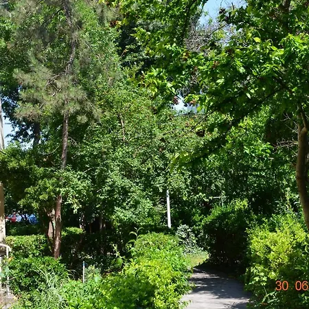 Antonia Sat Vacanta * Constanţa