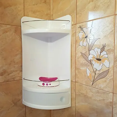 Apartment Antonia Sat Vacanta Constanta