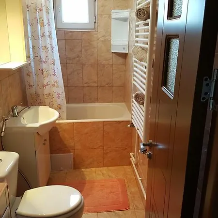 Apartment Antonia Sat Vacanta Constanta